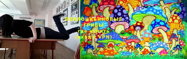 ALPHA-PVP Усинск